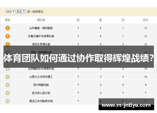 体育团队如何通过协作取得辉煌战绩？