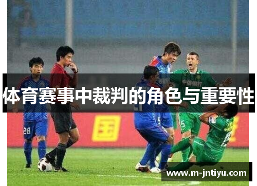 体育赛事中裁判的角色与重要性