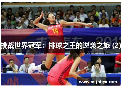 挑战世界冠军：排球之王的逆袭之旅 (2)